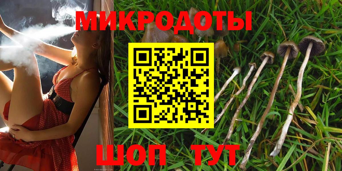 Галлюциногенные грибы мицелий Новокубанск