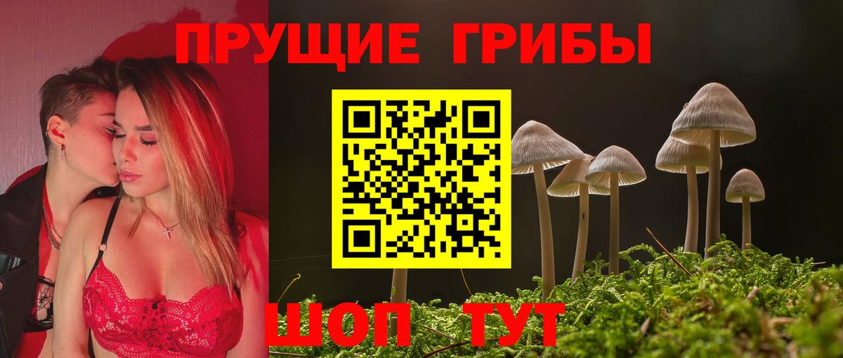 Псилоцибиновые грибы GOLDEN TEACHER  цены наркотик  Новокубанск  Вход с VPN 